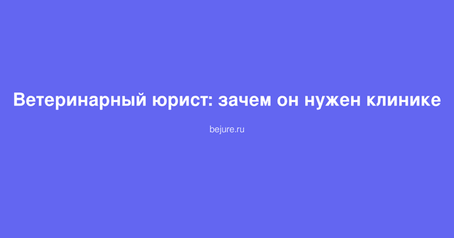 Ветеринарный юрист консультирует владельца ветеринарной клиники по правовым вопросам и лицензированию